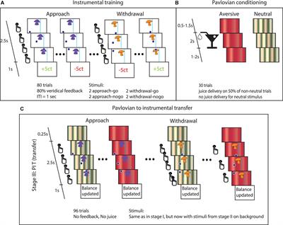 Amygdala response predicts clinical symptom reduction in patients with borderline personality disorder: A pilot fMRI study